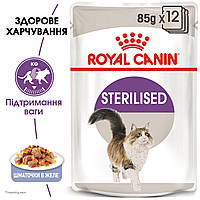 Влажный корм Royal Canin Sterilised in Jelly для кастрированных/стерилизованных кошек старше 1 года, 85 гр