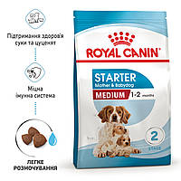 Сухой корм для собак средних размеров в период беременности и лактации Royal Canin MEDIUM STARTER 1 кг