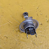 Лампочка автомобільна 12v-100/90w Н4 (P43t), фото 5
