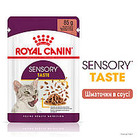 Влажный корм Royal Canin Sensory Taste Gravy для кошки стимуляция вкусовых рецепторов в соусе, 85 гр