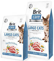 Корм для великих котів Brit Care Cat GF Large cats Power & Vitality з качкою та корицею 2 кг