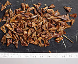 Ялиця біла насіння (2,5 г прибл. 40 шт) (Ábies álba) пихта європейська серебриста гребінчаста для вирощування саджанців, фото 2