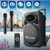 Мощная акустическая колонка, с Bluetooth на аккумуляторе с 2-ма микрофона Su-Kam BT 150D