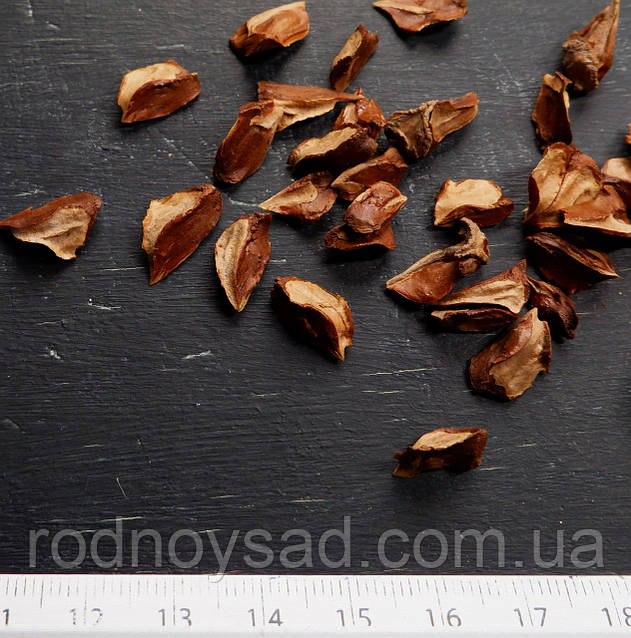 Нина Хартли секс порно үздік порно фильмдер