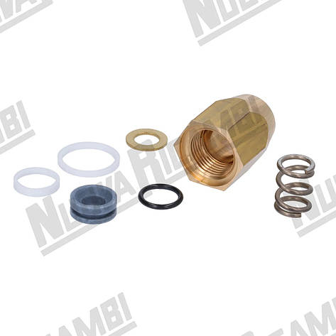 Ремкомплект на стімер Dalla Corte, фото 1