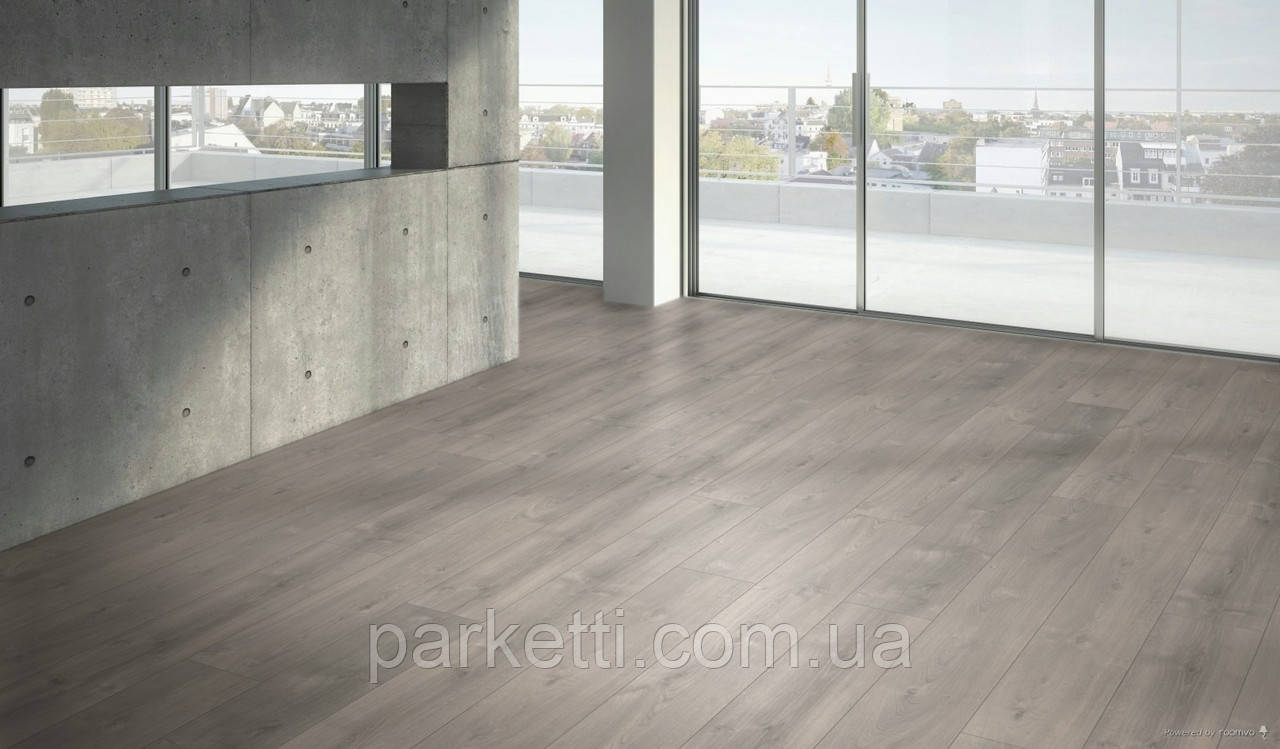 Ламинат Parador 1748192 Basic 600 XL V4 Дуб Валере жемчужно-серый выбеленный (Oak Valere pearl-grey limed) - фото 6 - id-p2101786483