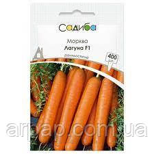 Морква Лагуна F1, Садиба, фото 1