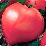 ТОМАТ ВОЛОВЕ СЕРЦЕ РОЖЕВИЙ (0,3Г), фото 2