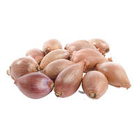 Цибуля-Шалот, кущовка, 1 кг