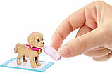 Уценка! Лялька Барбі з цуценятами Barbie Doll and Accessories Pup Adoption Playset HKD86, фото 4