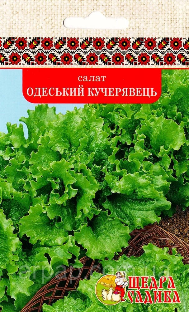 САЛАТ ОДЕСЬКИЙ КУЧЕРЯВЕЦЬ (1Г), фото 1