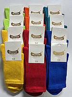 Носки женские яркие Master Высокая резинка Демисезонные Набор ярких носков Яркие носки для женщин