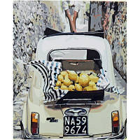 Антистресс картина по номерам Оптіфрост Автомобиль с лимонами 40 х 50 см РазноцветArt39077