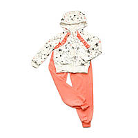 Дитячий костюм на дівчинку Trendy Tot 03-00817 двонитка малюнок зірка штани та худі від 3 до 5 років -