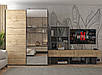 Шафа-купе "G-Caiser" 160х60х240 см. 1 ДСП/1 дзеркало/3 частини, Графіт/Дуб Евок, фото 4