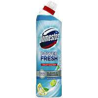 Засіб для чищення унітазу Domestos Aroma Power Свіжість океану 700 мл (8720182273406) p