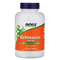 NOW Echinacea 400 mg 250 капсул Lodgi