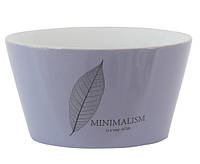 Салатник Limited Edition Minimalism HTK-019 480 мл фиолетовый h