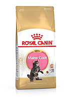 Сухий корм Royal Canin Maine Coon kitten для кошенят породи Мейн-Кун до 15 місяців, 0.4 кг