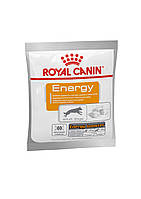 Лакомство Royal Canin Energy дополнительный корм для активных собак, хрустящие подушечки 50 гр