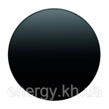 Накладка для поворотного диммера, чорна, Berker R. 1/R. 3, фото 1