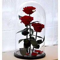 Вечная роза под стеклянной колбой, Роза в стеклянной колбе 3 шт