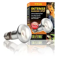 Рефлекторна лампа розжарювання Exo Terra «Intense Basking Spot» (для обігрівання) S20/75W
