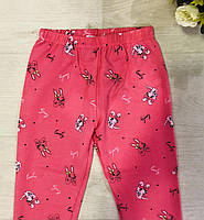 Лосини для дівчат оптом, S&D,98-128 см, № CH-6567, фото 5