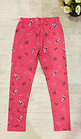 Лосини для дівчат оптом, S&D,98-128 см, № CH-6567, фото 3