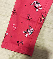 Лосини для дівчат оптом, S&D,98-128 см, № CH-6567, фото 7