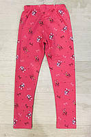 Лосини для дівчат оптом, S&D,98-128 см, № CH-6567, фото 4