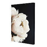 Набір постерів Riviera Blanca Ясно-білі півонії (PS-008) 3 шт в наборі, фото 2