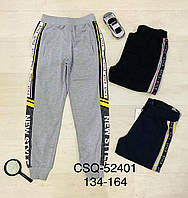 Спортивные штаны для мальчика оптом, MR.DAVID, 134-164 см,  № CSQ-52401