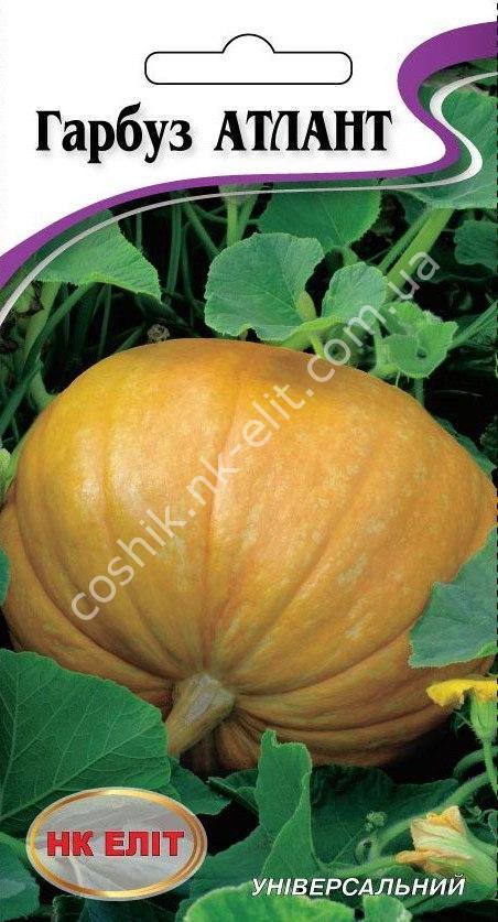 Насіння Гарбуз "Атлант" 10шт
