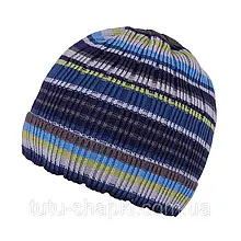 Демісезонна шапка для хлопчика TuTu арт. 3-002508(46-50, 50-54) 46 див., Блакитний