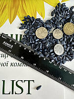 Насіння соняшника ЄВРО під Євролайтінг. Соняшник під Євролайтинг ЄВРО 45ц/га. Гибрид ЕВРО. ТМ "ЛИСТ"., фото 5