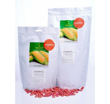 Солодка кукурудза Роттердам 4 000 нас на 7соток, насіння цукрової кукурудзи, фото 1