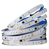 Світлодіодна стрічка бігуча SPI 24V SMD2835 120led\m 9,5W 1150Lm IP20 10мм 5000К