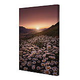 Набір постерів Riviera Blanca Гармонія (PS-044) 3 шт в наборі, фото 2