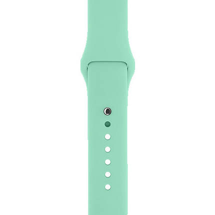 Ремінець TPU ArmorStandart Sport (3 Straps) для Apple Watch 38/40/41mm Succulent (ARM65081), фото 1