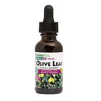 Листья оливы, экстракт в каплях без спирта, Olive Leaf, Natures Plus, 30 мл