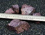 Лава різана 3см (100 грам) для мохів та рослин, фото 3