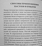 Домашній сімейний лікувальник, фото 10