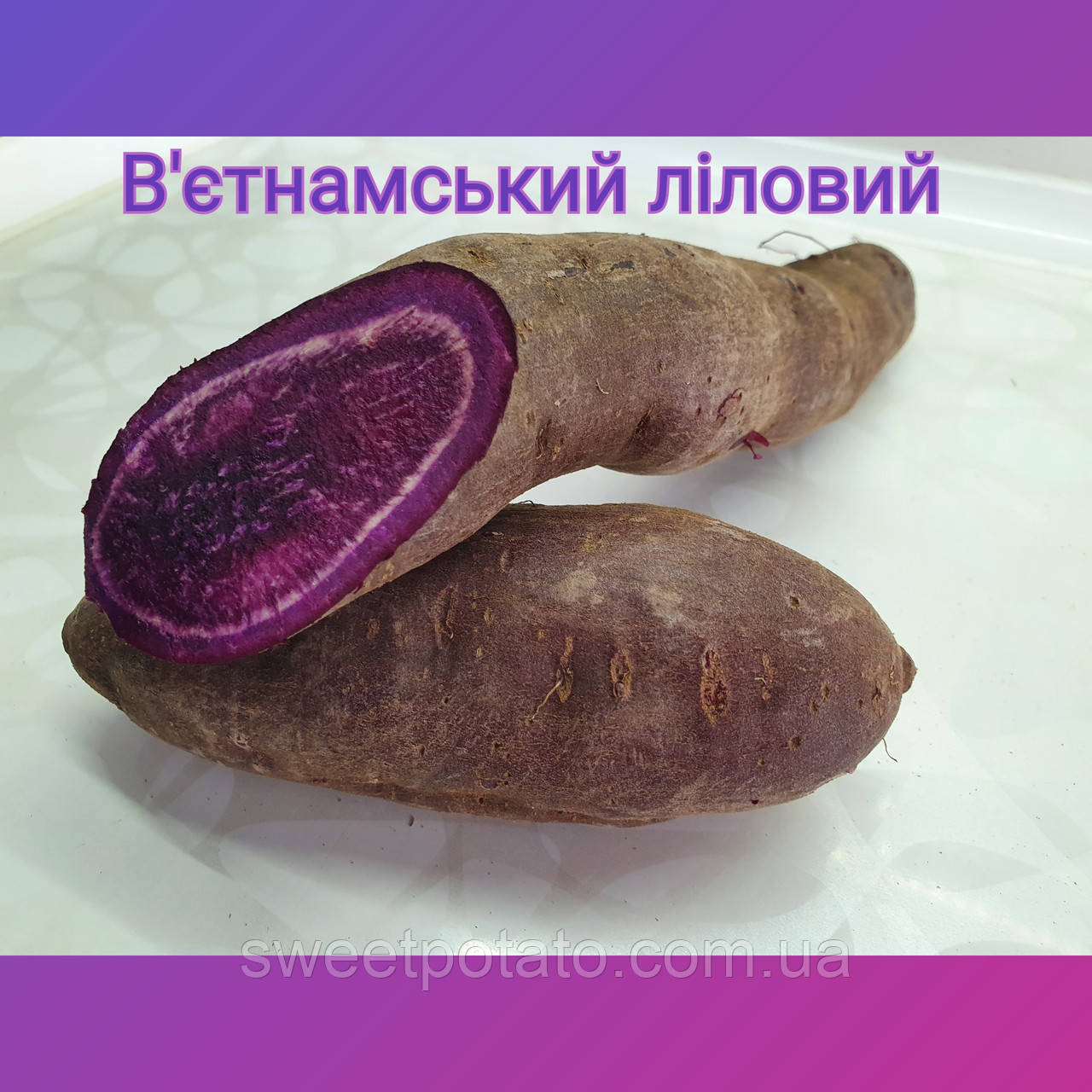 Сортовий батат для розсади в'єтнамський ліловий
