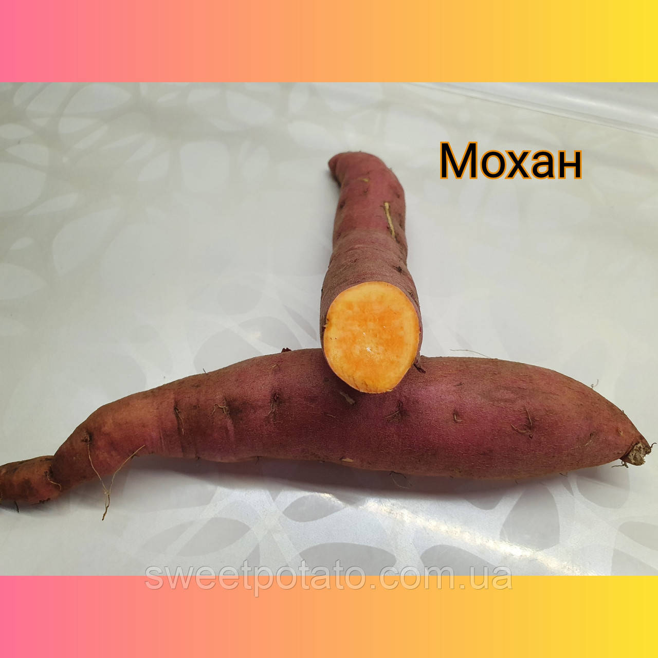 Сортовий батат сорт Мохан із світлопомаранчовою м'якотю 🌿🧡🍠, фото 1