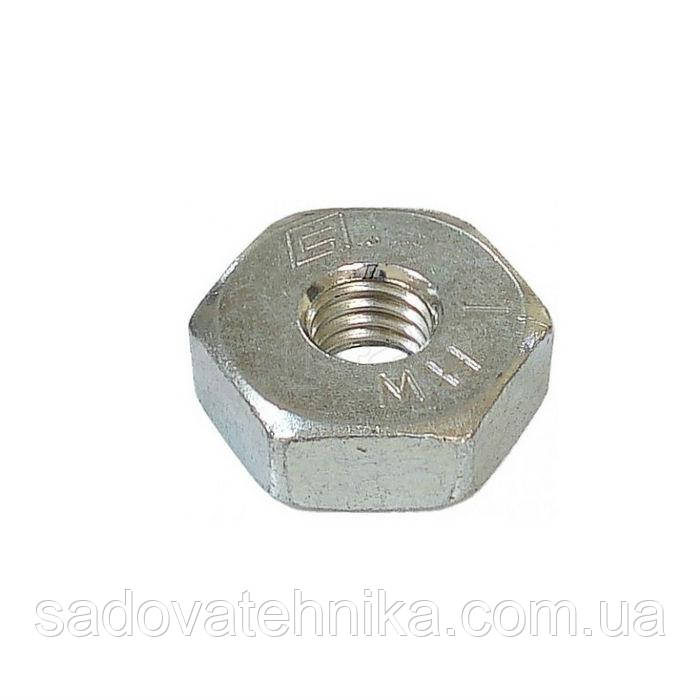 Гайка кріплення шини M8 для бензопили STIHL MS 170, MS 180, MS 180 C, MS 181, MS 181 C, MS 211, MS 211 C, фото 1