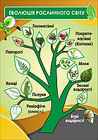 Плакат на банерній тканині з планками"Еволюція рослинного світу"