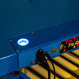 Говорун-128 інкубатор програмований 2х ярусний, роликовий поворот, з овоскопом, фото 4