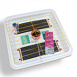 Рябашка Smart 150 Турбо цифровий механічний інкубатор, фото 5