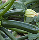 Кабачок Супремо F1 темно-зелений, 5 шт (ГН), фото 2